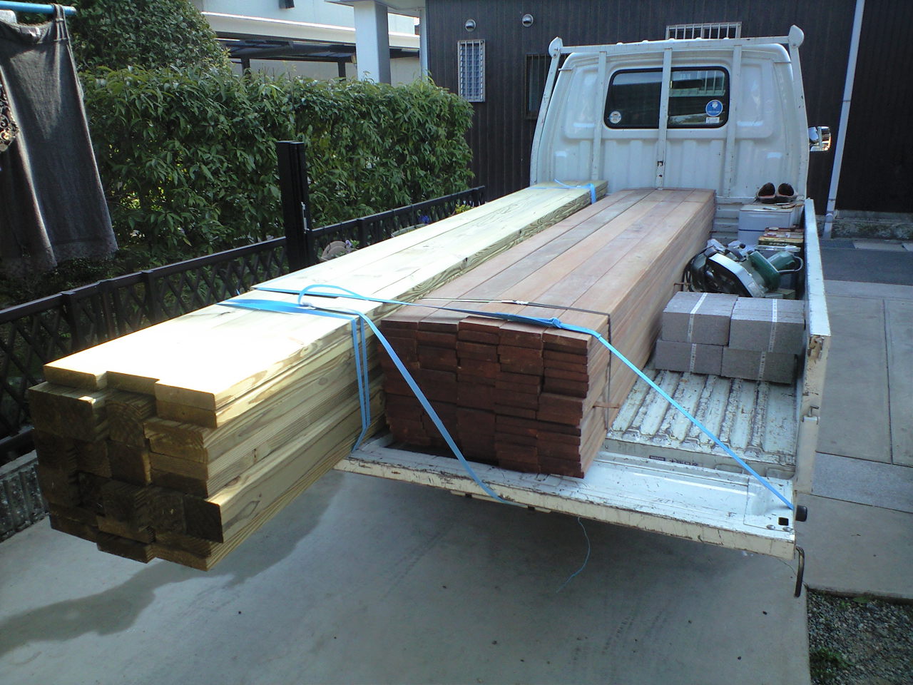 社長ブログ ウリンとサザンイエローパイン 有限会社アトリエエムズ